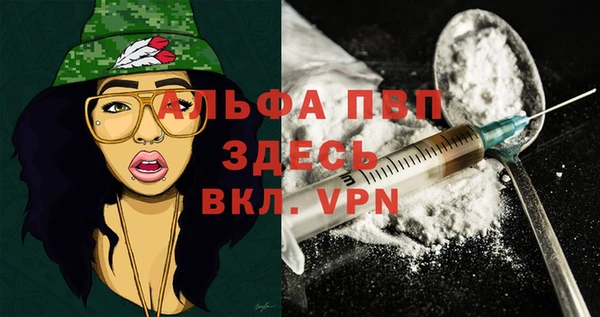 твердый Абаза