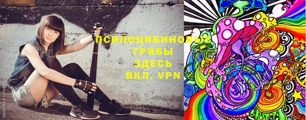 твердый Абаза