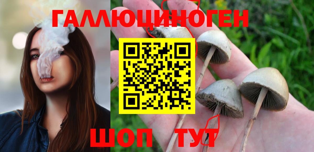Псилоцибиновые грибы Magic Shrooms Энгельс