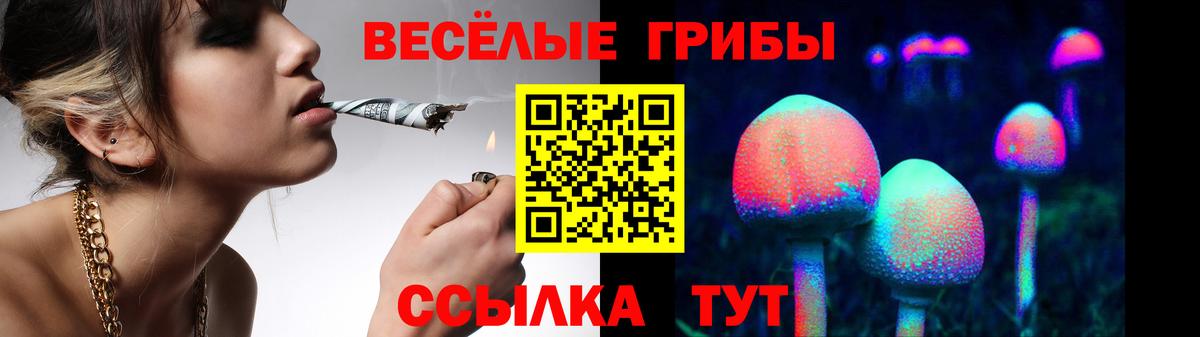 Галлюциногенные грибы Psilocybine cubensis  Галлюциногенные грибы Psilocybine cubensis  Энгельс  Вход с VPN 