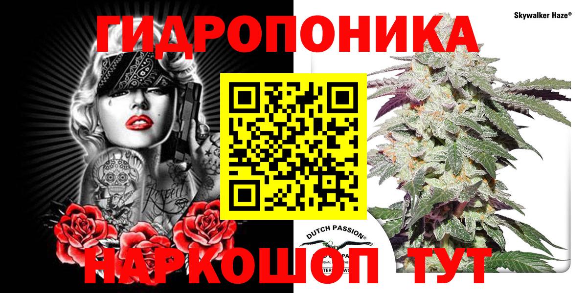 Каннабис SATIVA & INDICA Энгельс